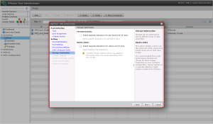 View Linked Clones 9
